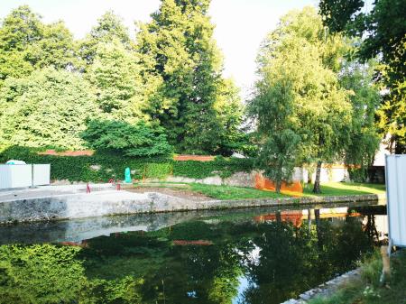 Brv na Gallusovem nabrežju